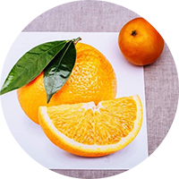 Мышление и рассуждение не могут функционировать в отсутствии информации сенсорных путей, воспринимающих эту информацию.