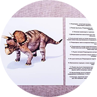 Каждая отдельная категория битов призвана расширить кругозор ребенка, а сопутствующая ей программа развития интеллекта - углубить его знания в данной области.