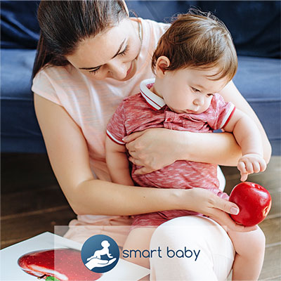 + </br>видеокурс